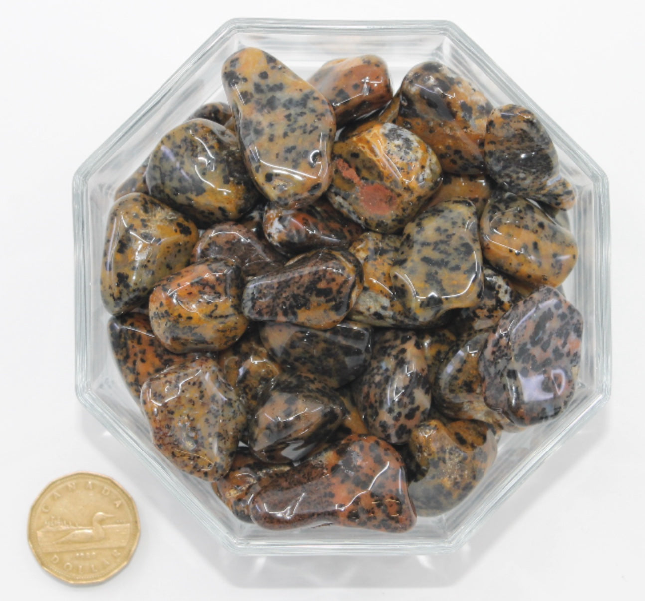 Agate Cheetah Large - Tumbled