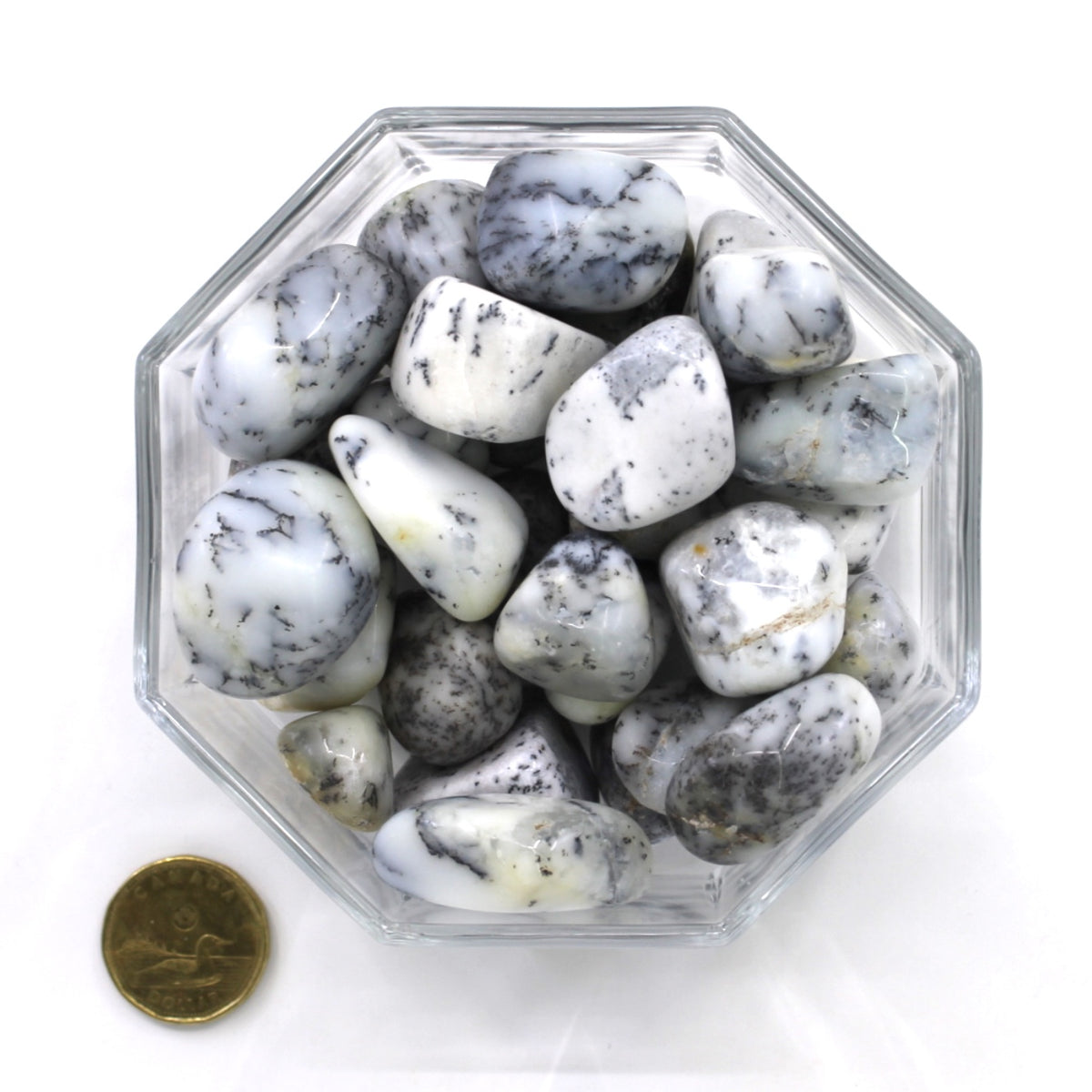 Agate Dendrite Large - Tumbled