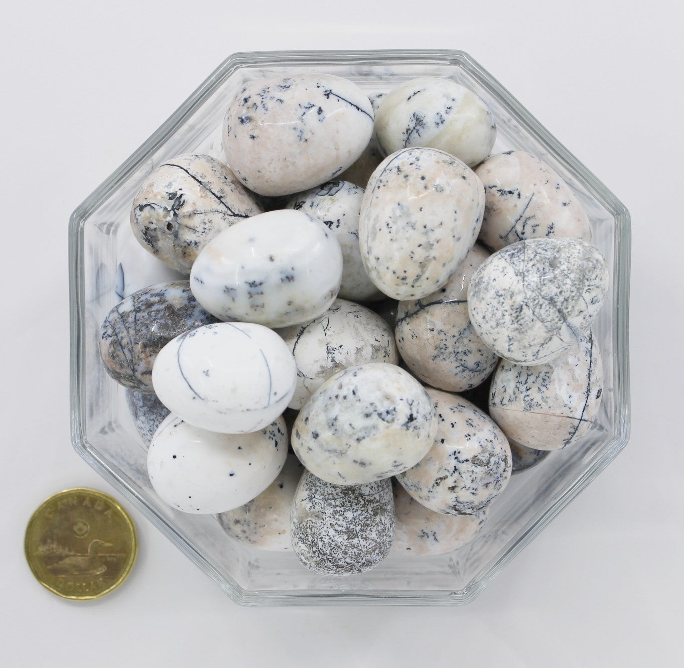 Agate Dendrite Large - Tumbled