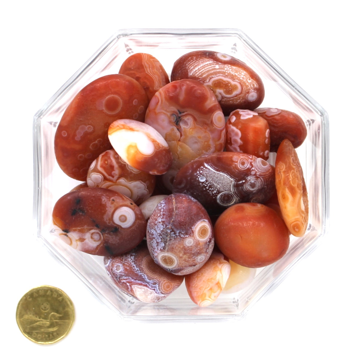 Agate Gobi Mongolia Orange Large - Tumbled