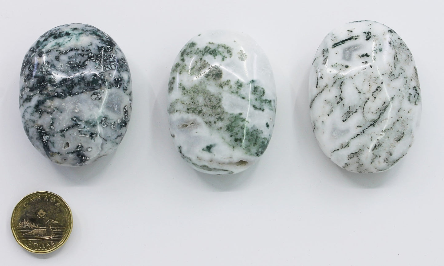 Agate Tree - Palmstone