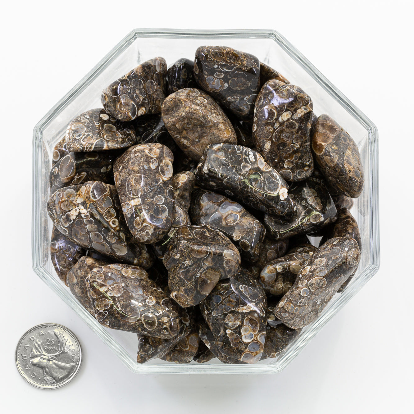 Agate Turitella Large - Tumbled