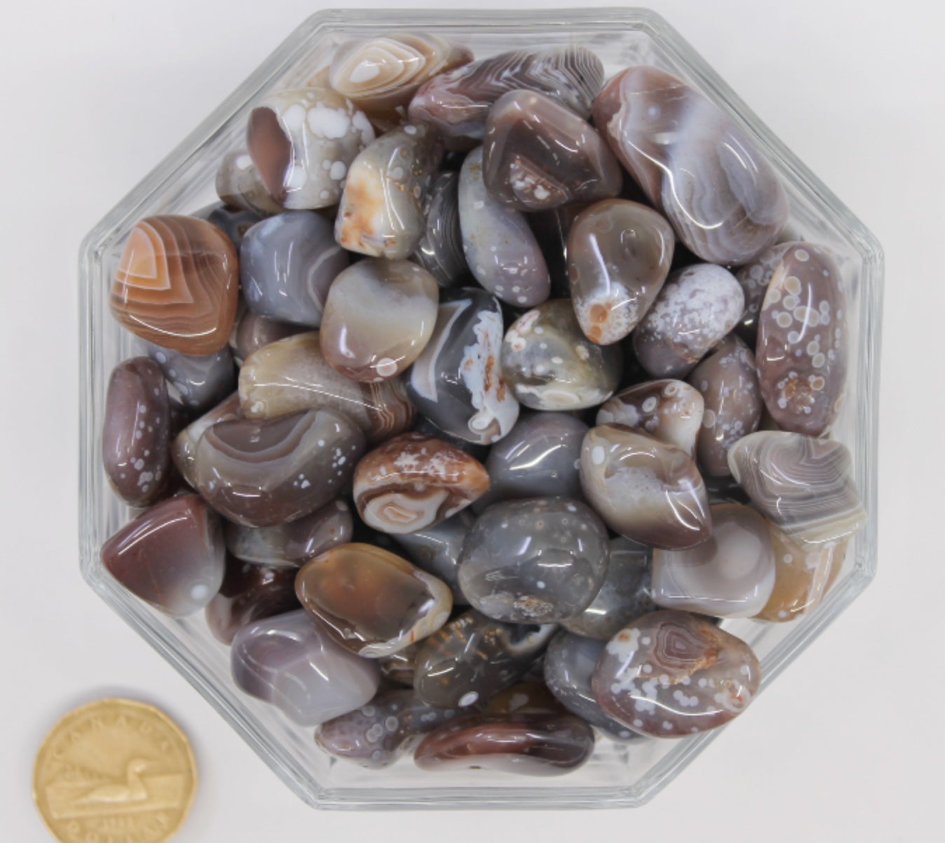 Agate Botswana Eyes - Tumbled