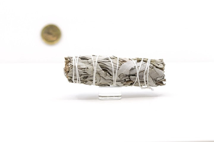 Sage 4" - Beyond Rocks