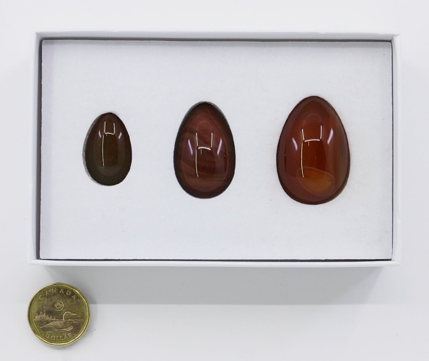Carnelian - Yoni Eggs