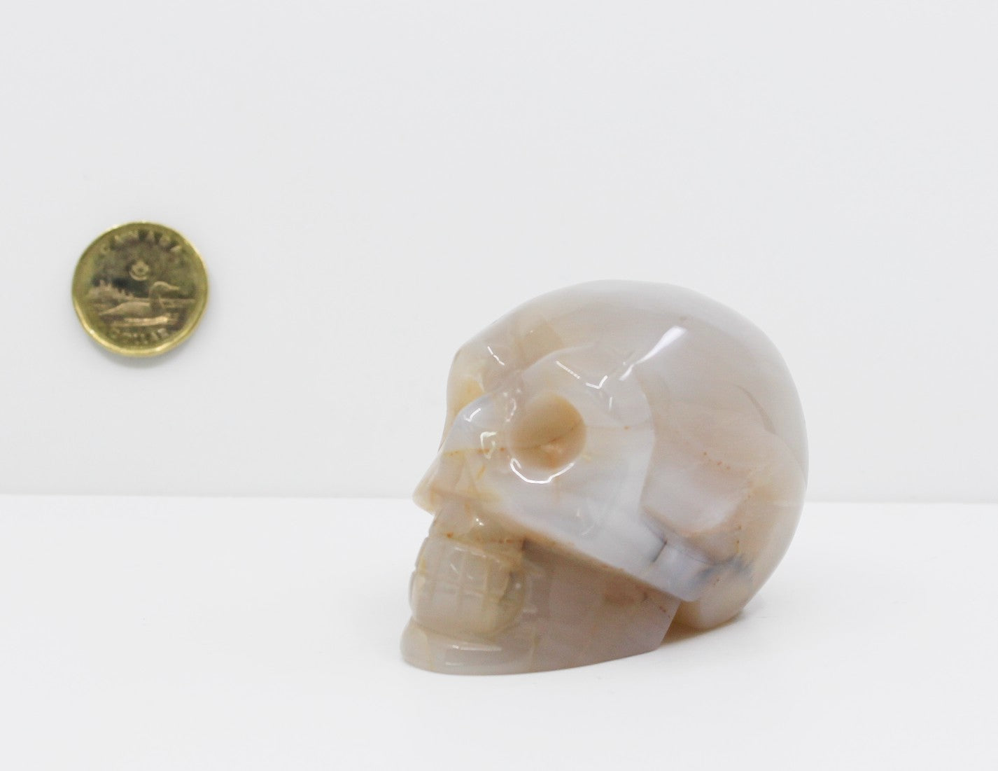 Chalcedony - Crystal Skull