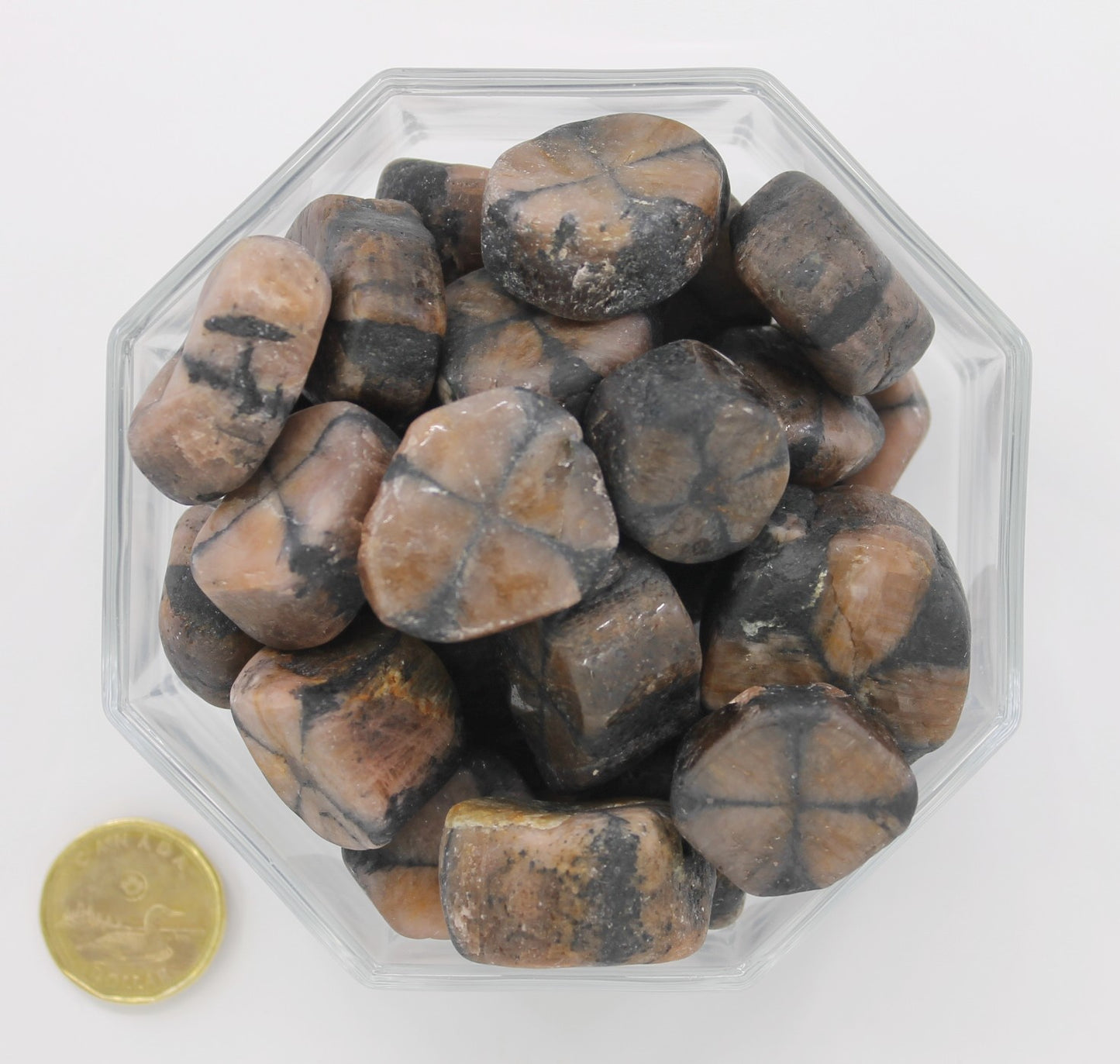 Chiastolite Jumbo - Tumbled