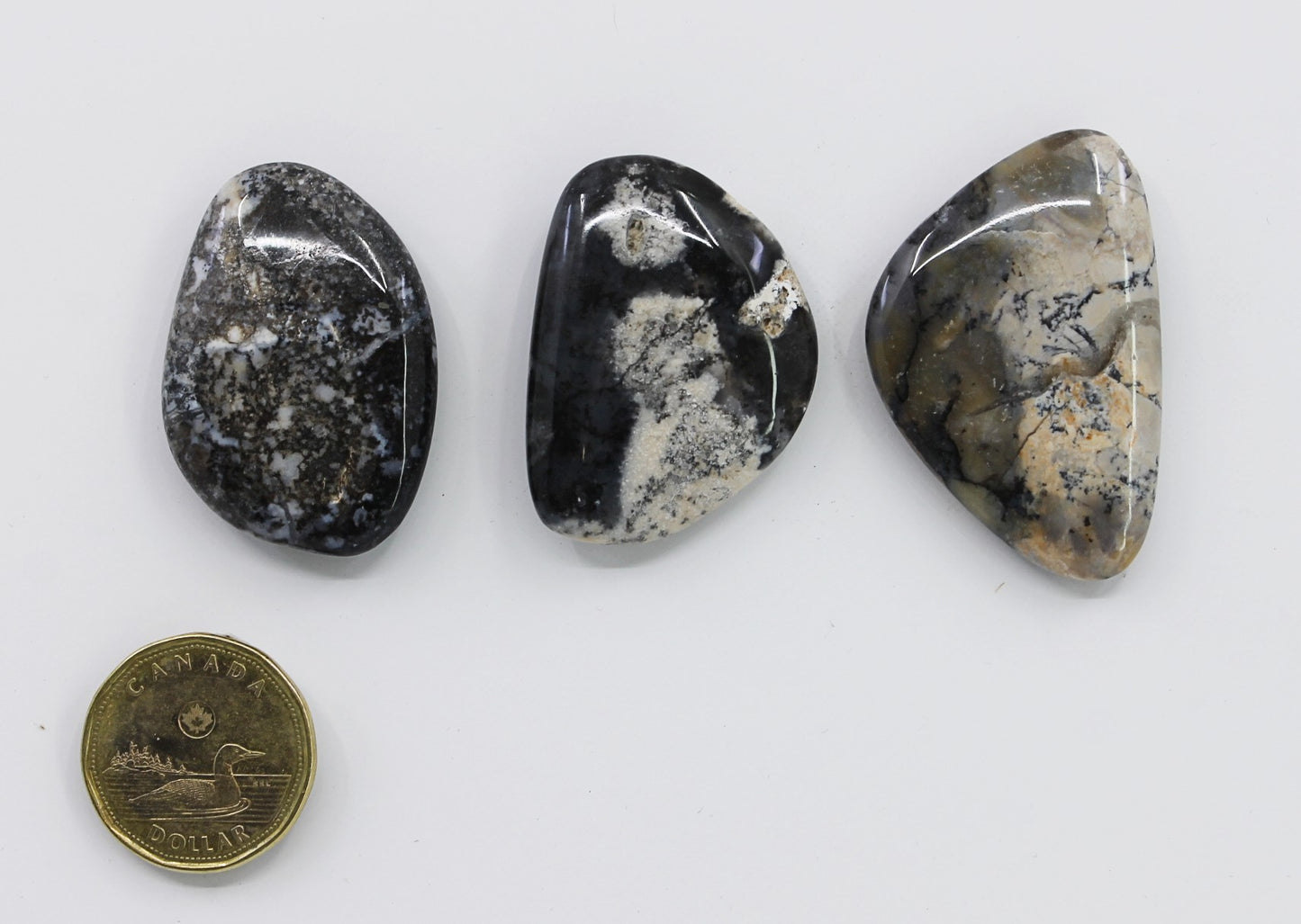 Dendrite  - Pocketstone