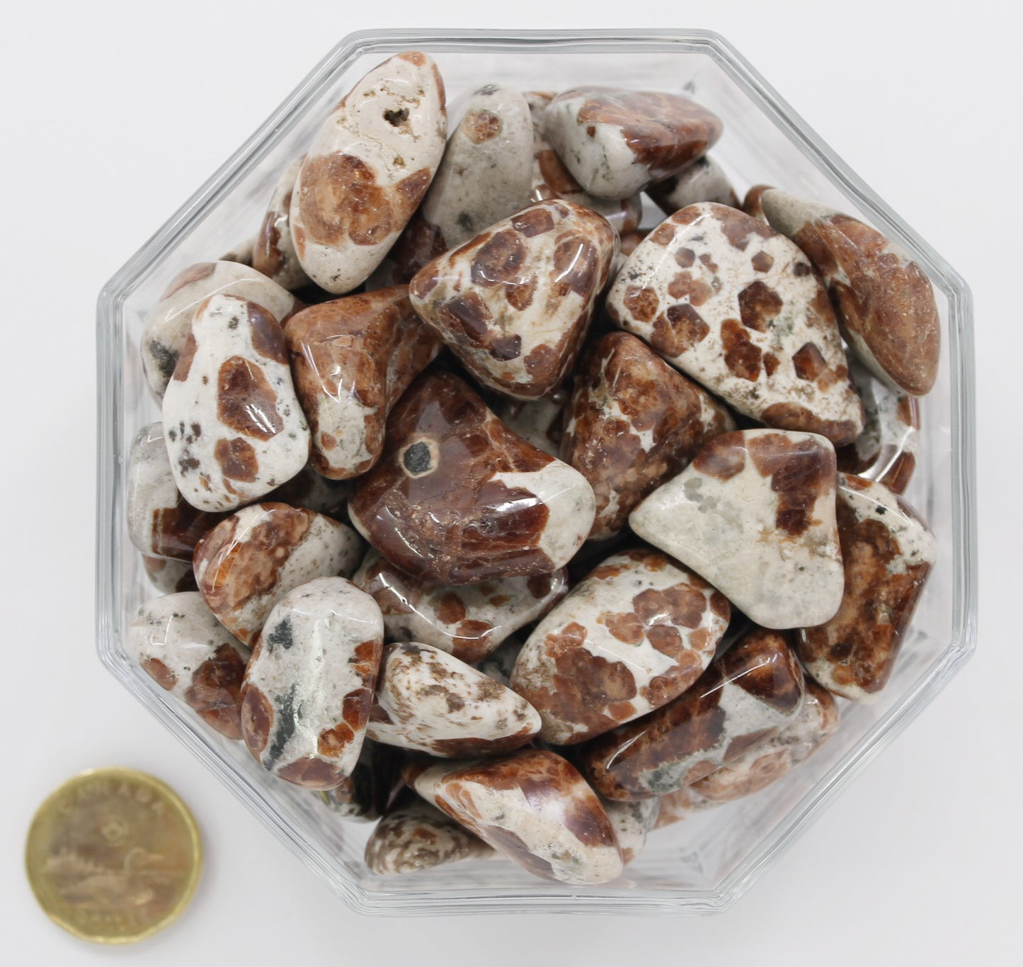 Garnet in Limestone - Tumbled