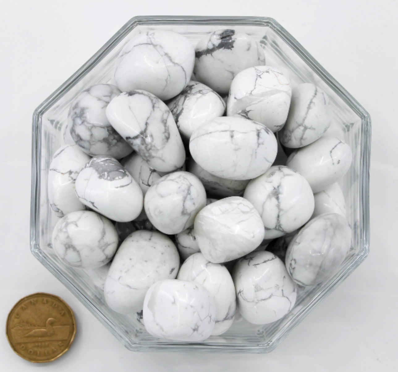 Howlite Large Extra - Tumbled