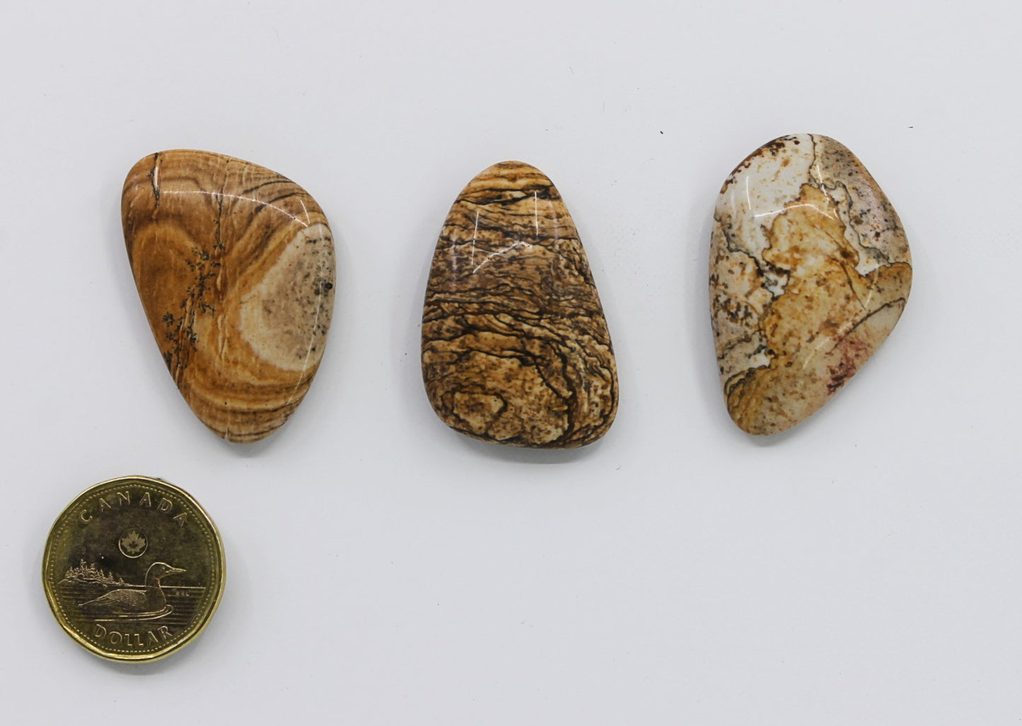 Jasper Picture - Pocketstone