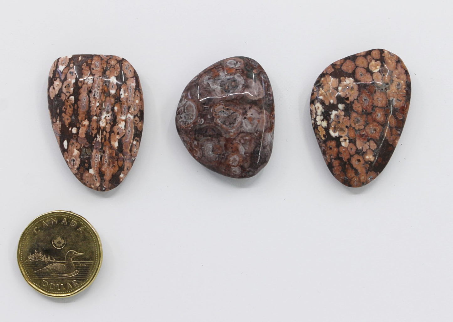 Jasper Snowflake Mexican - Pocketstone