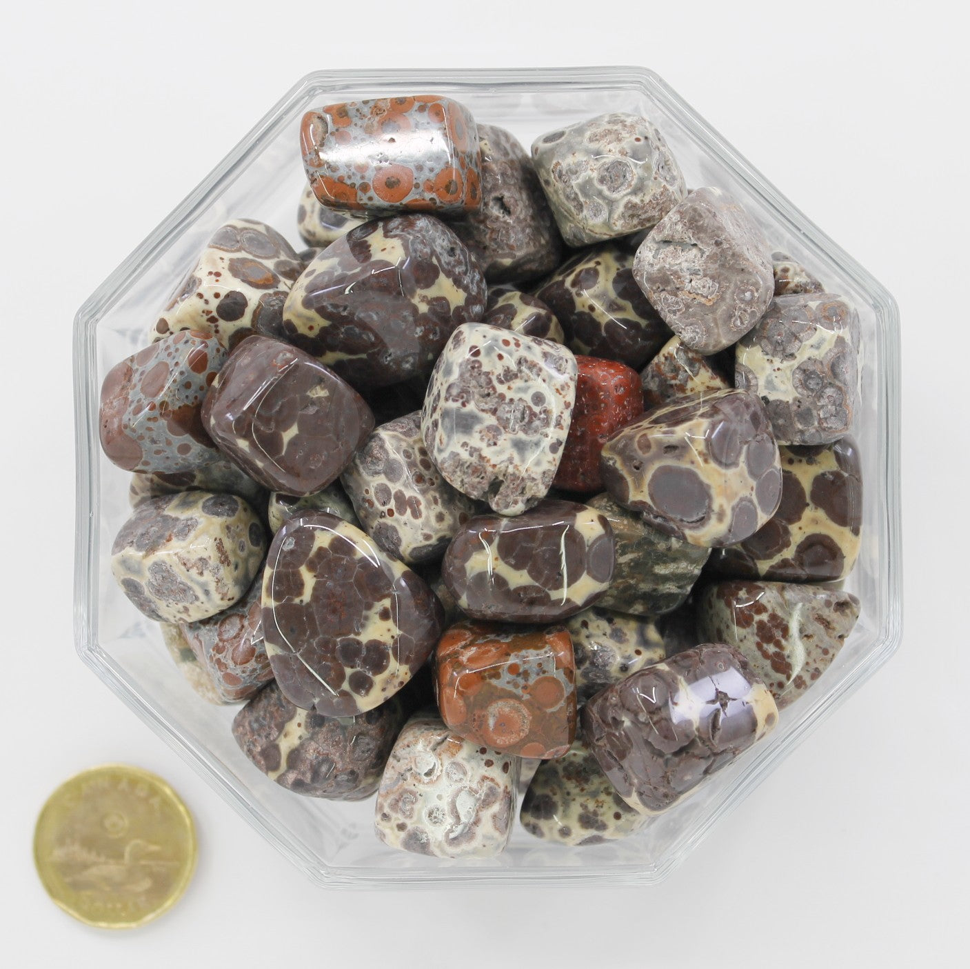 Jasper Viper - Tumbled