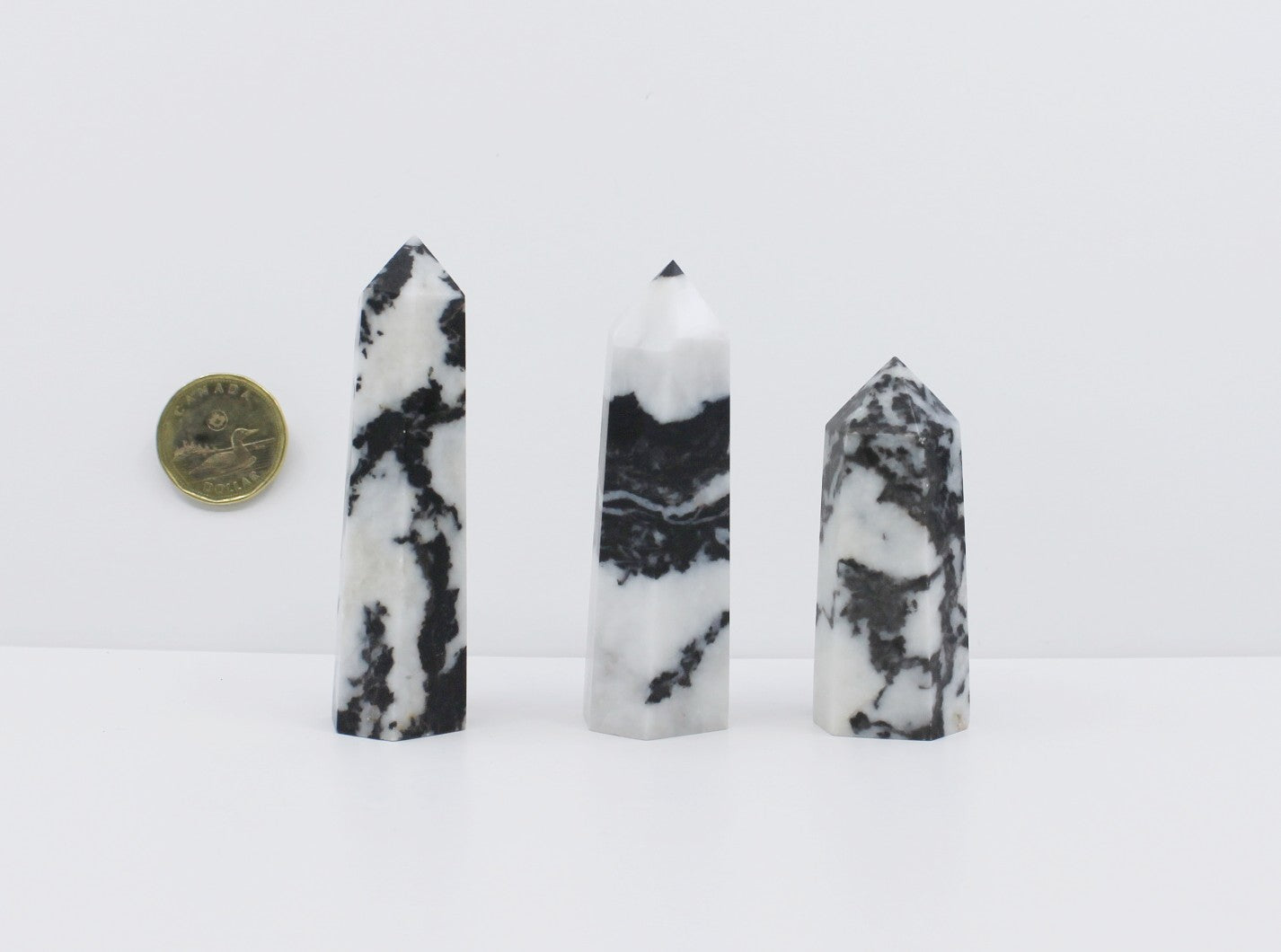 Jasper Zebra - Tower