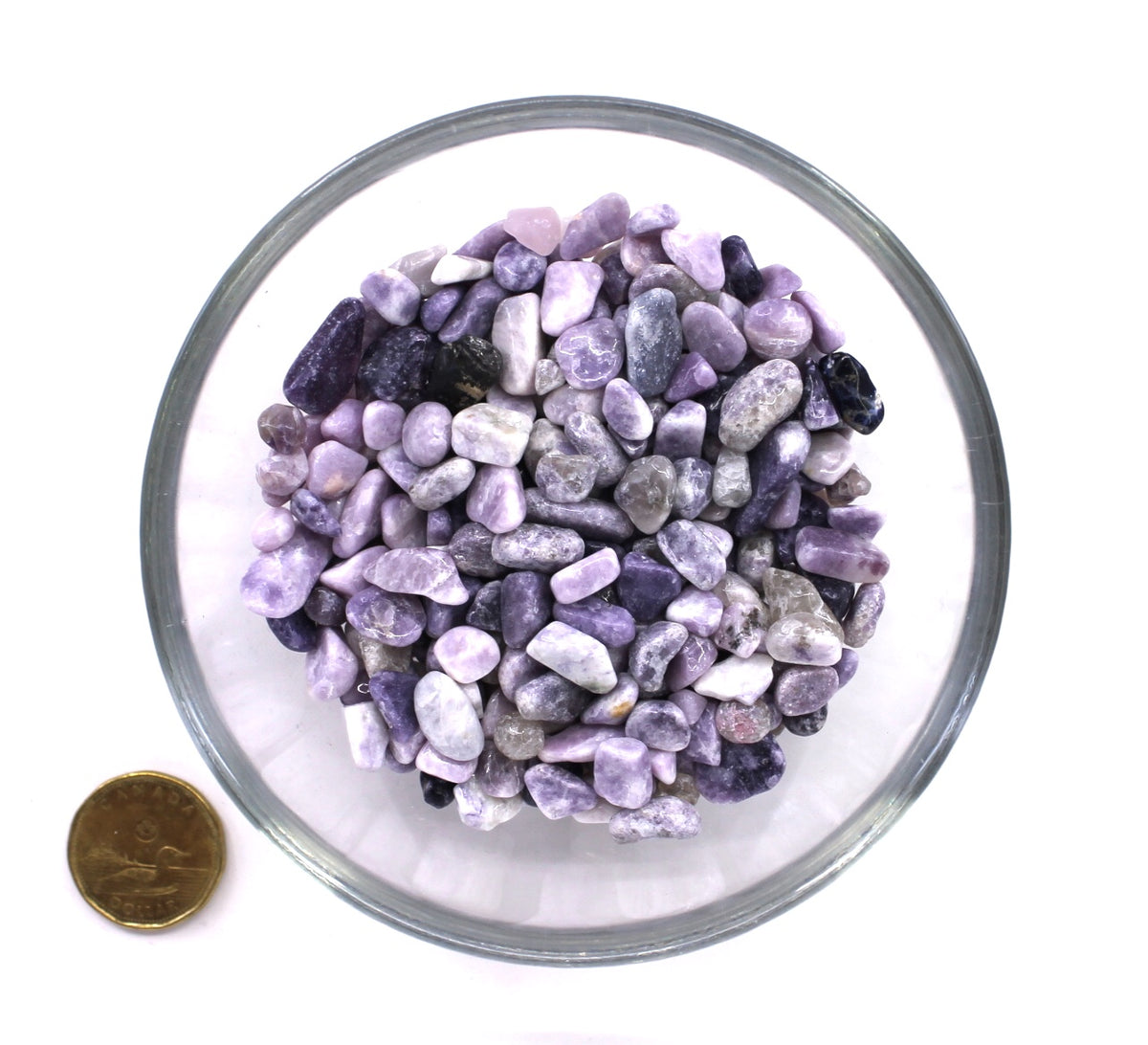 Lepidolite 7-9mm - Chips