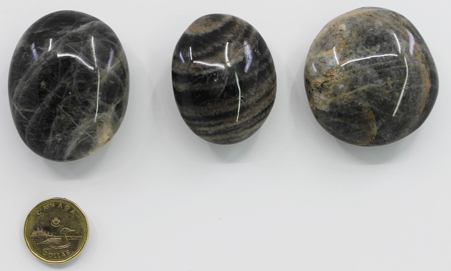 Moonstone Black - Palmstone
