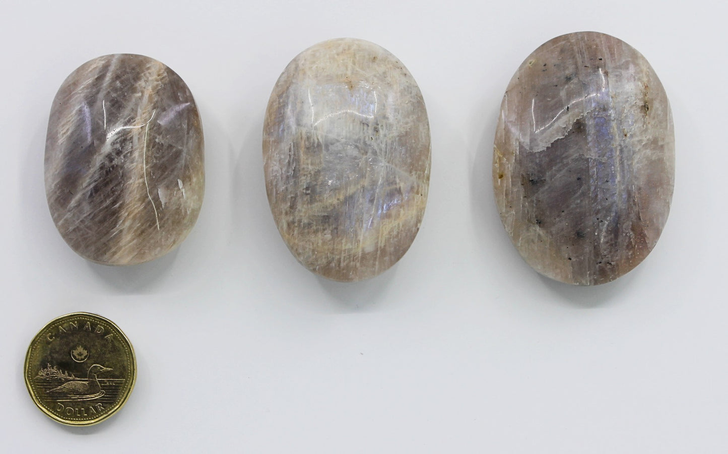 Moonstone Blue - Palmstone