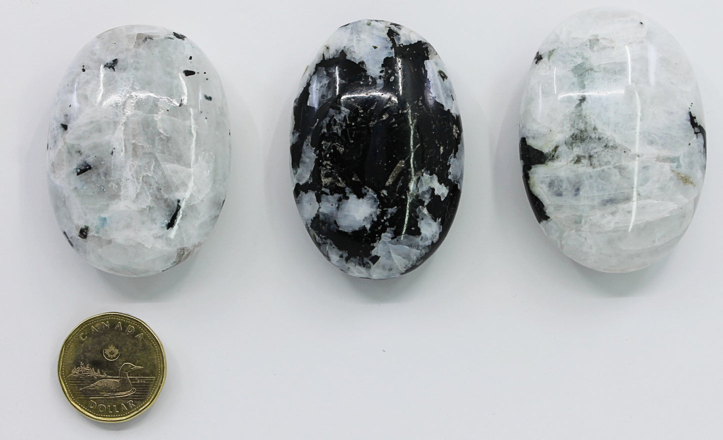 Moonstone Rainbow - Palmstone