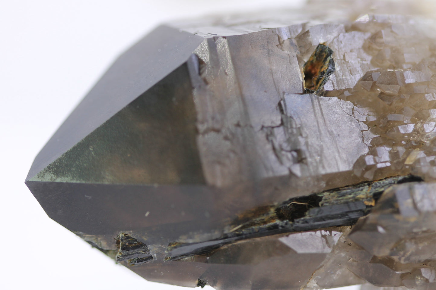 Morian Smokey Quartz with Aegirine Crystal II - Quartz Crystals