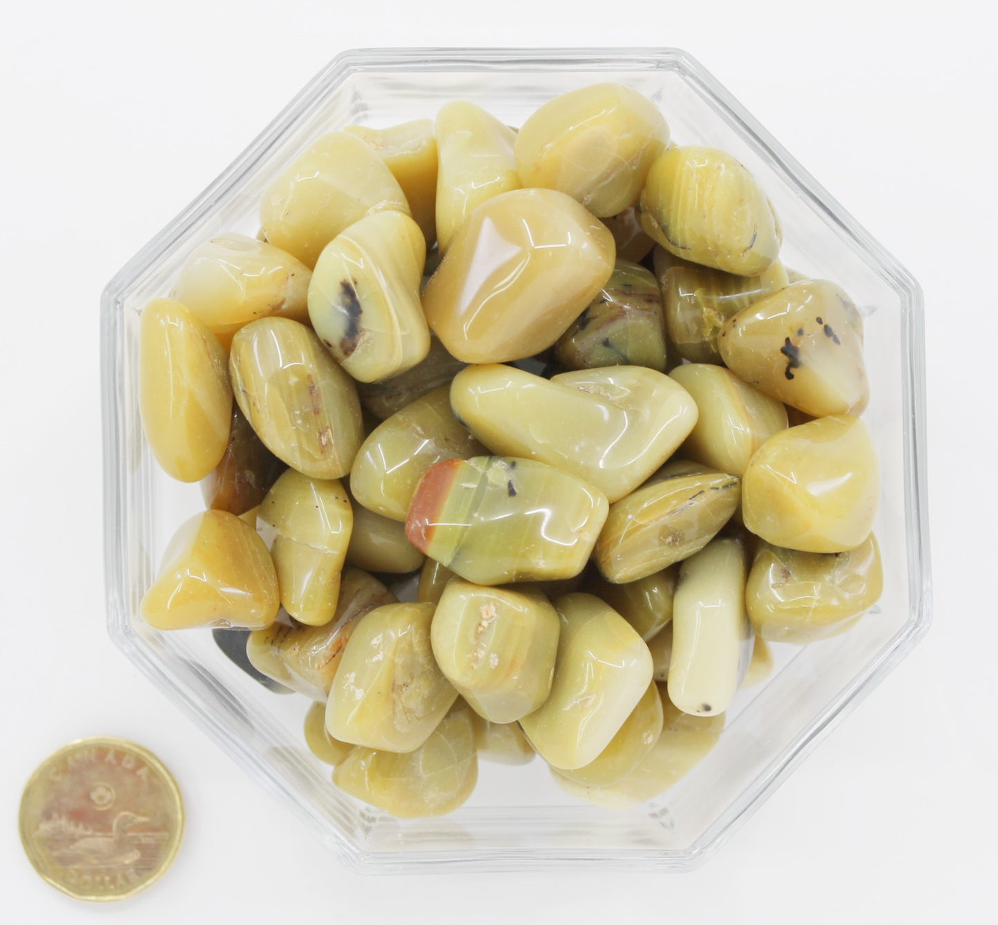 Opal Yellow Dendrite - Tumbled