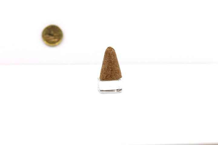 Palo Santo Incense Cone (5-Pack) - Beyond Rocks
