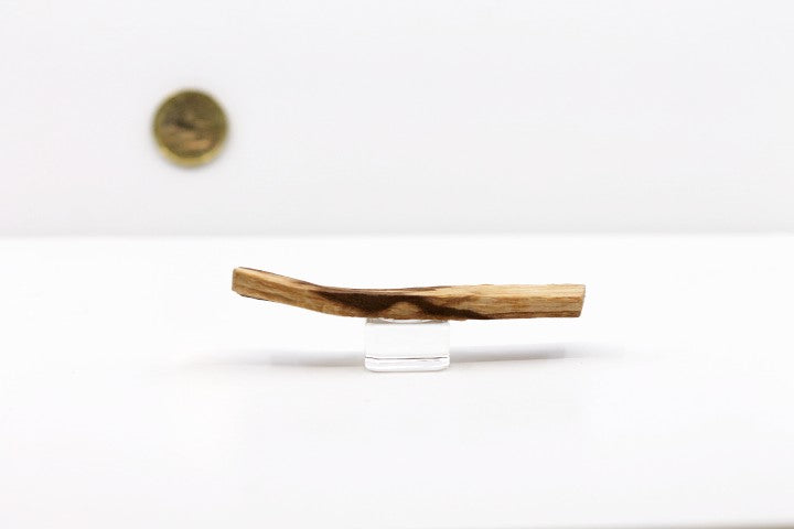 Palo Santo Wood - Beyond Rocks