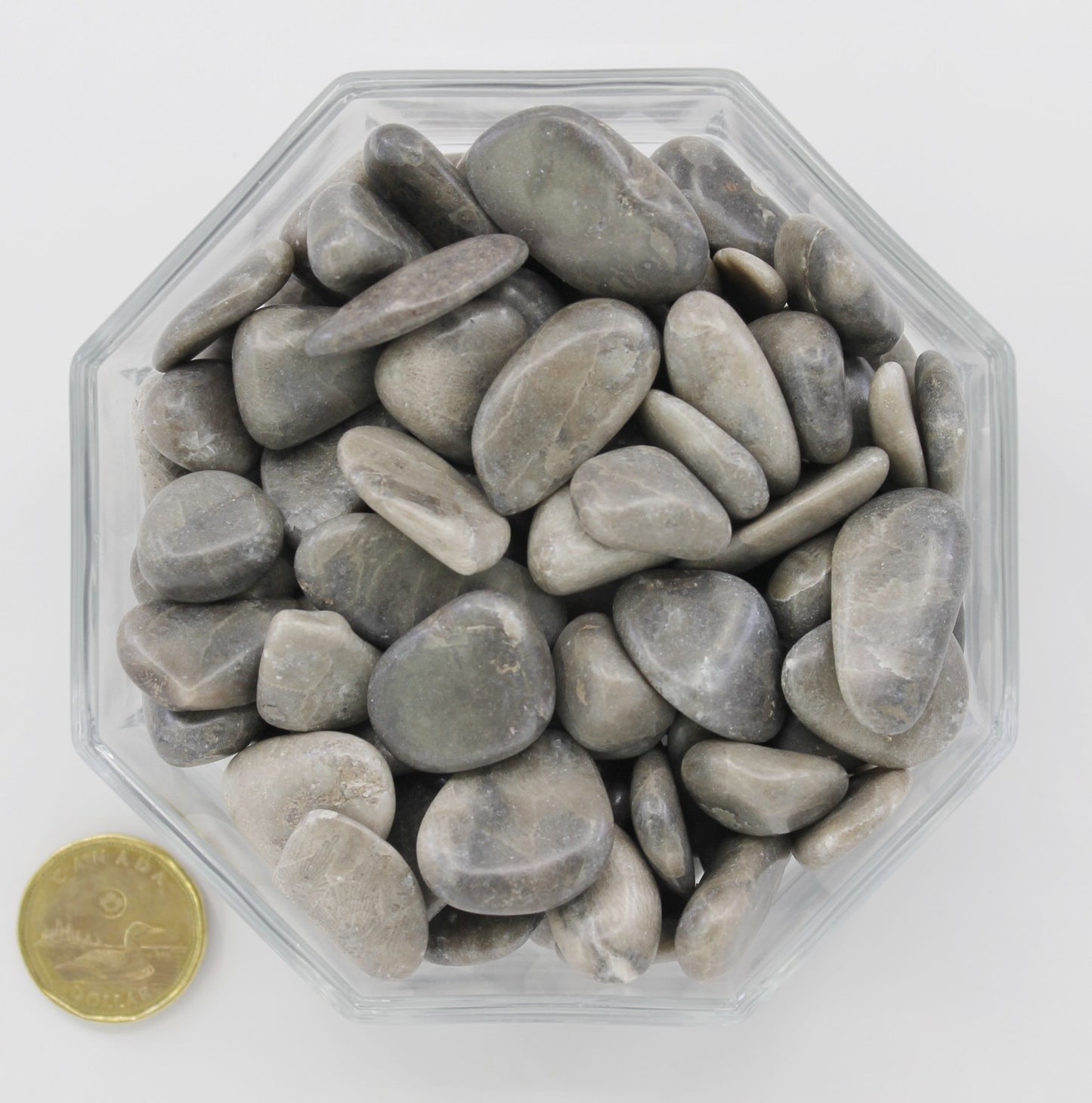 Petoskey Stone - Tumbled