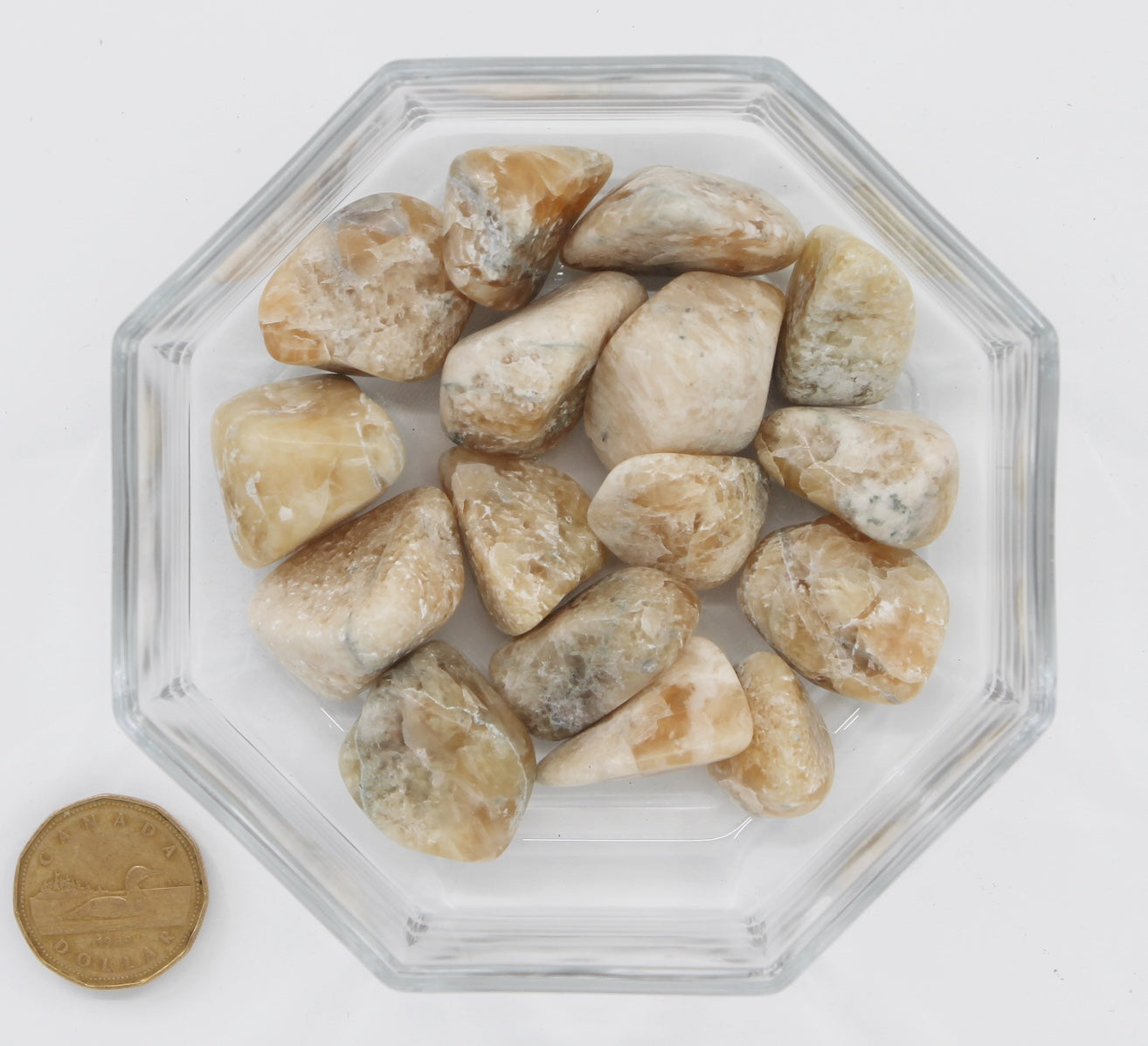 Prehnite Quebec Large - Tumbled