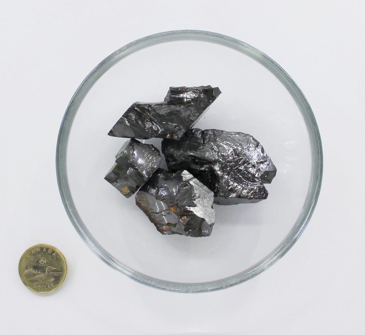 Elite Chips Large 11mm Plus - Shungite