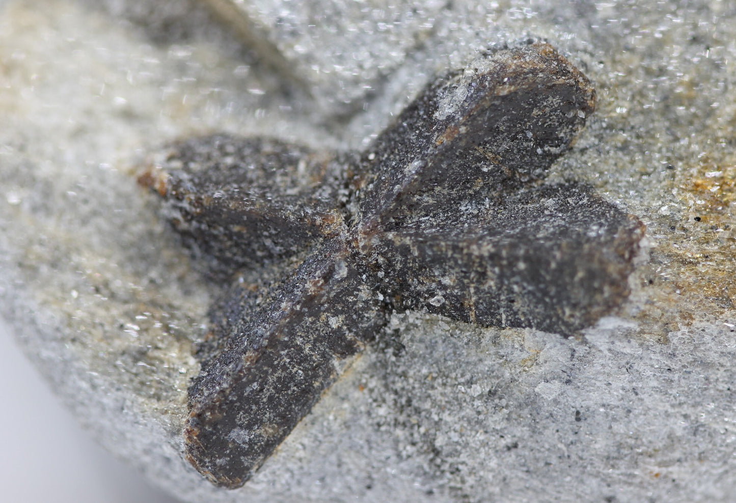 Staurolite - Mineral Specimen