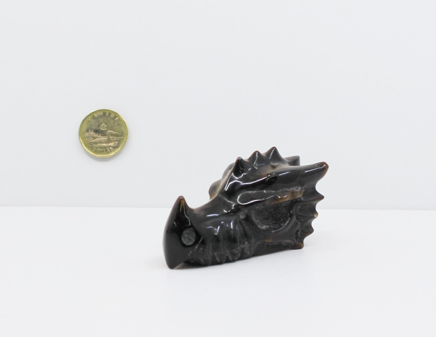Tiger Eye - Dragon Head