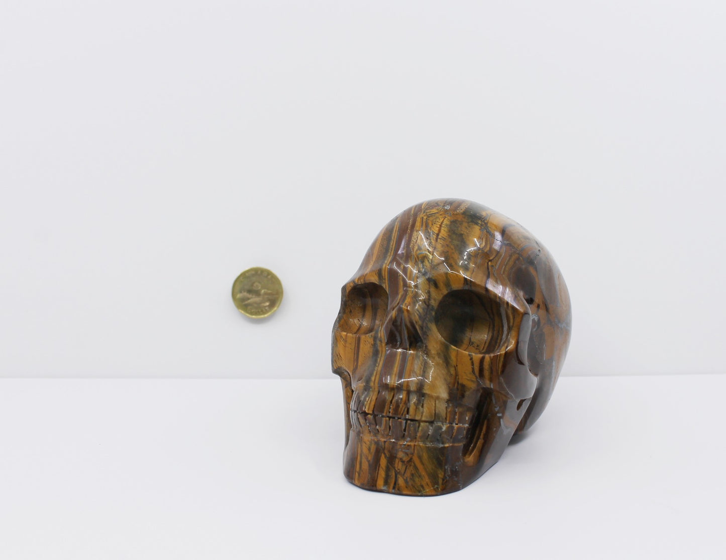 Tiger Eye II - Crystal Skull