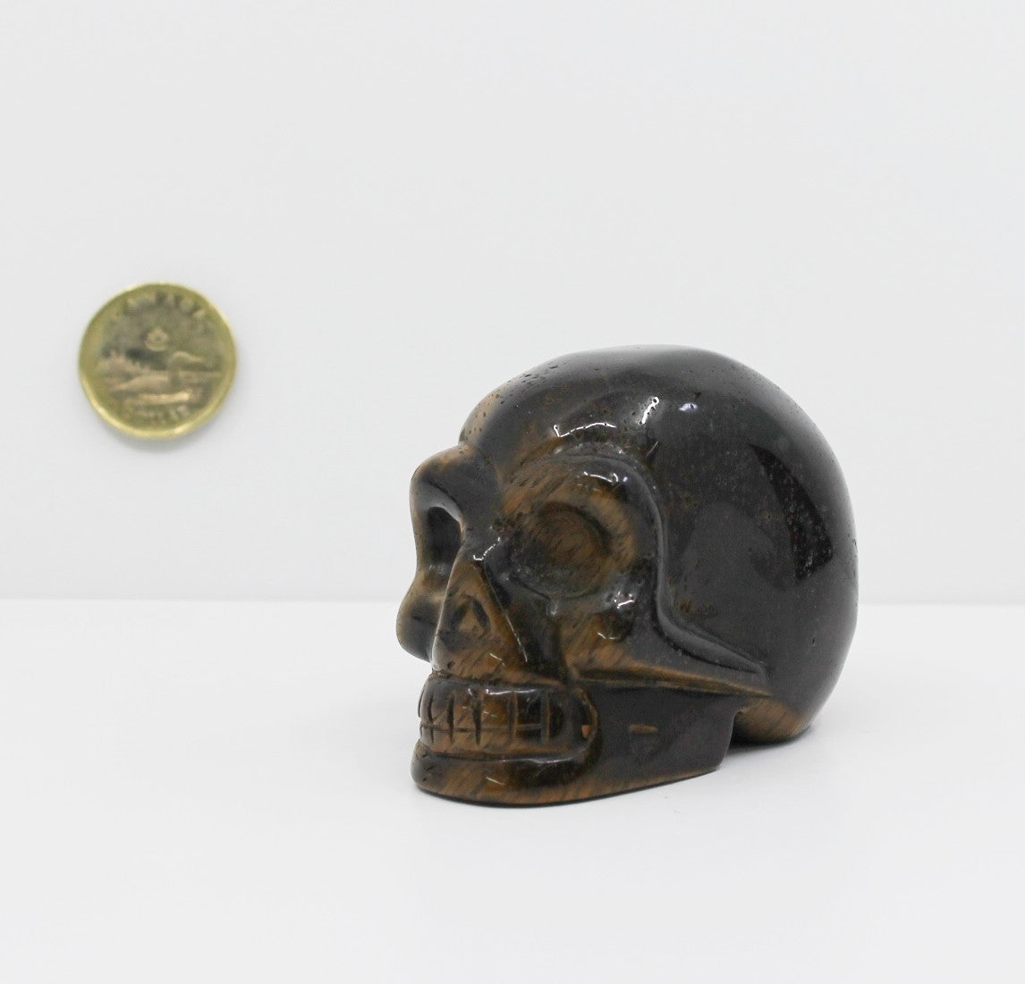 Tiger Eye - Crystal Skull