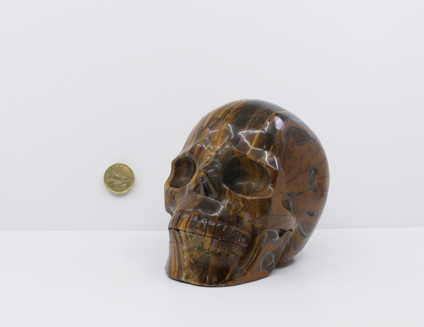 Tiger Eye III - Crystal Skull