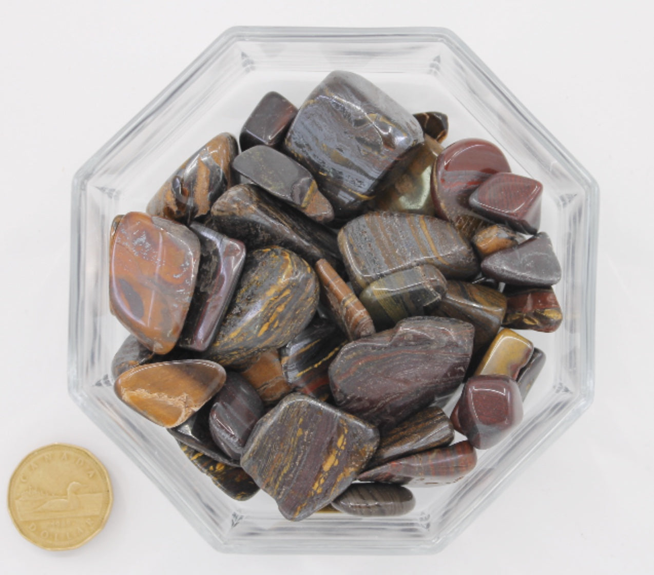 Tiger Iron Large - Tumbled