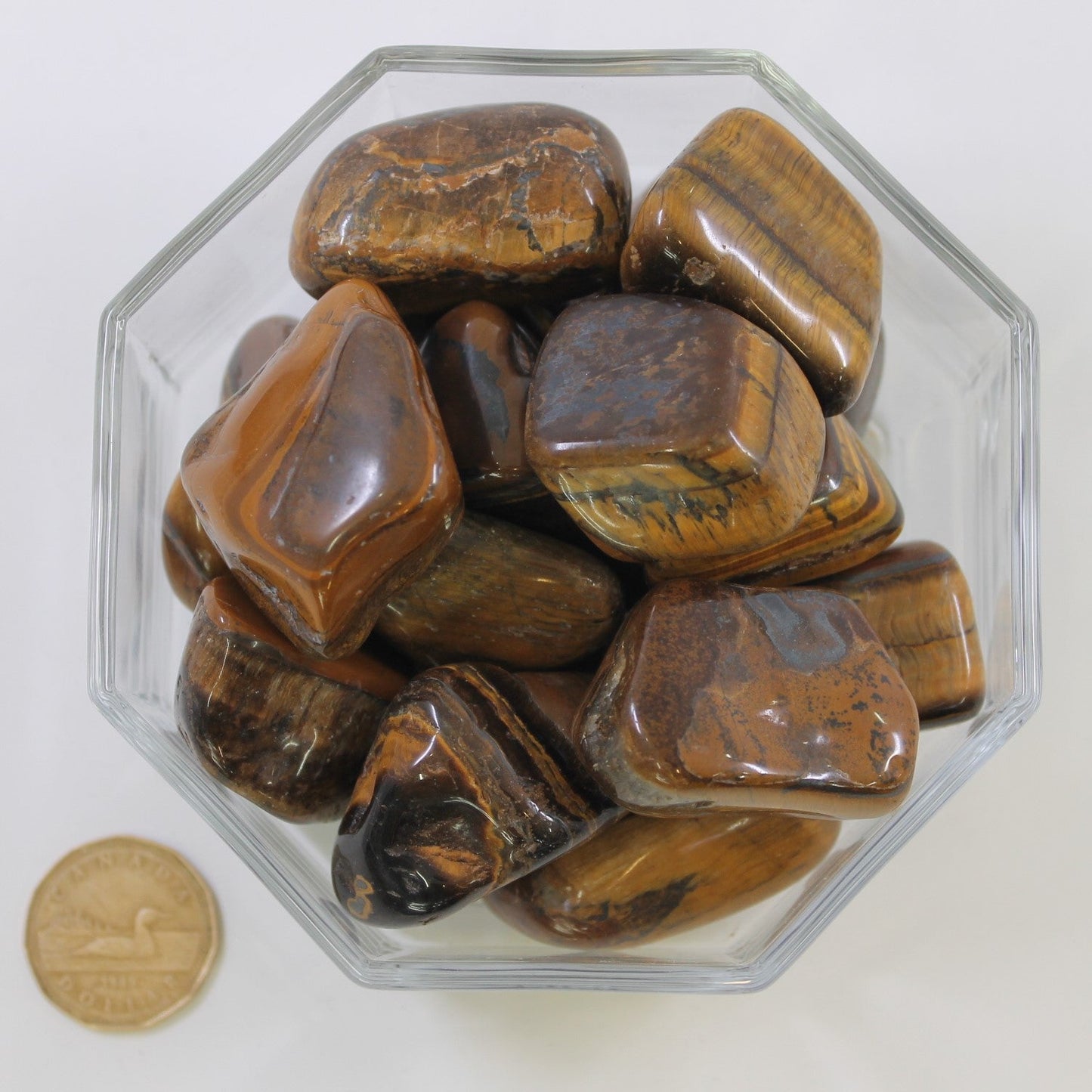 Tiger Eye Gold Jumbo - Tumbled
