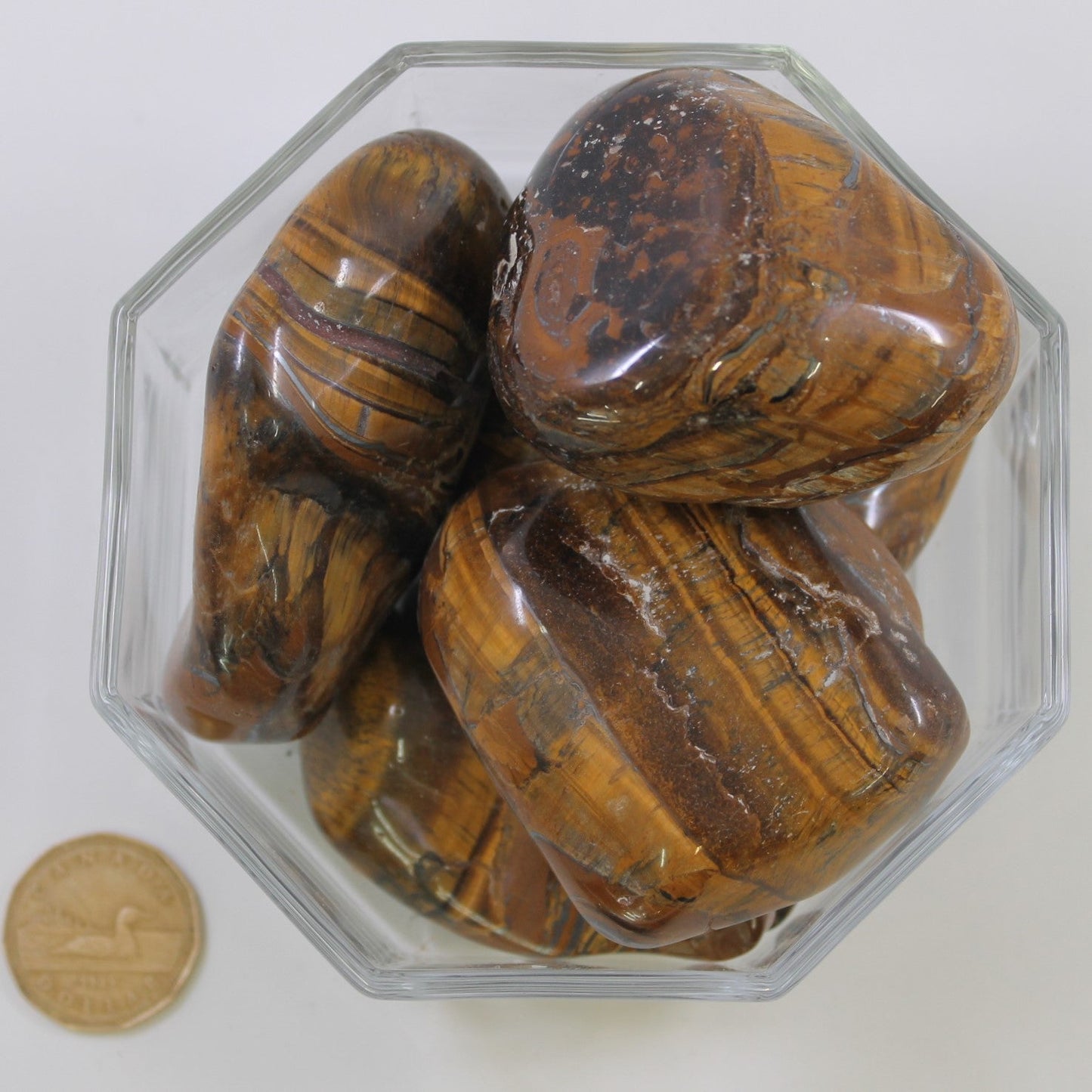 Tiger Iron Gold Jumbo - Tumbled