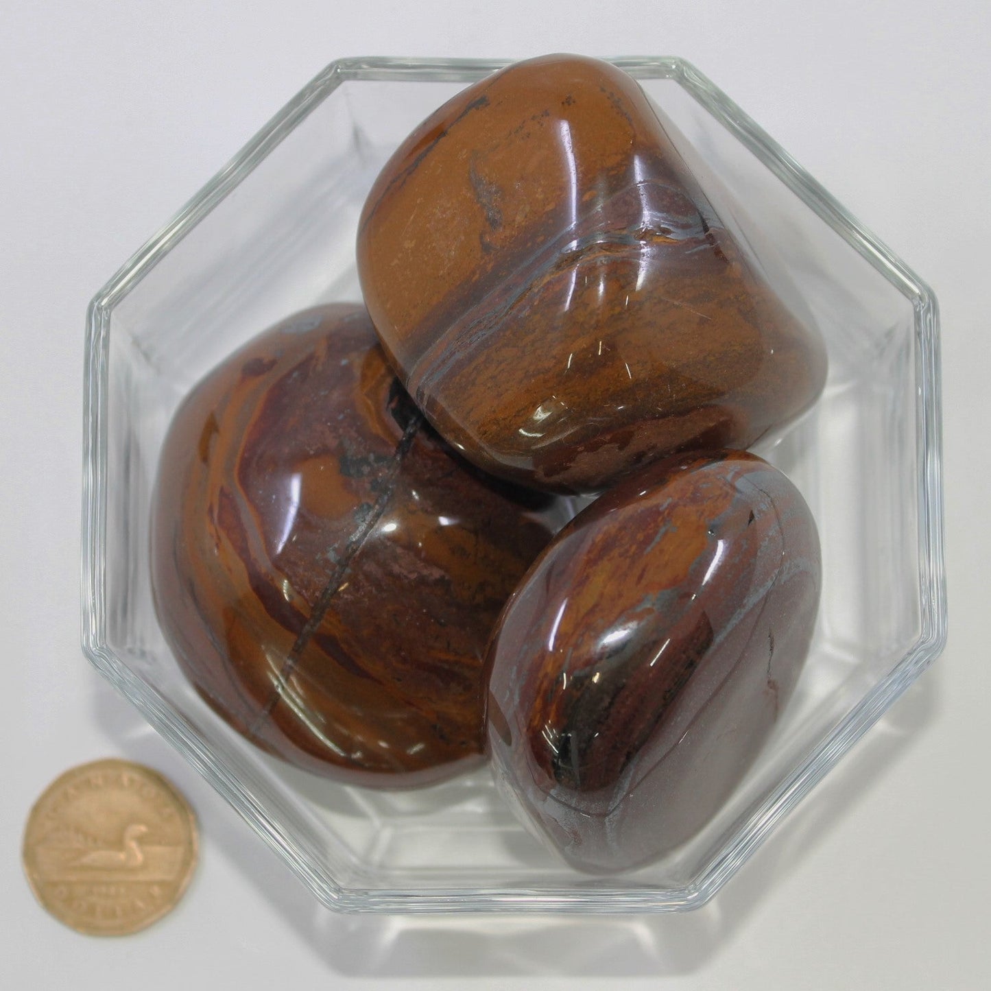 Tiger Iron Jumbo - Tumbled