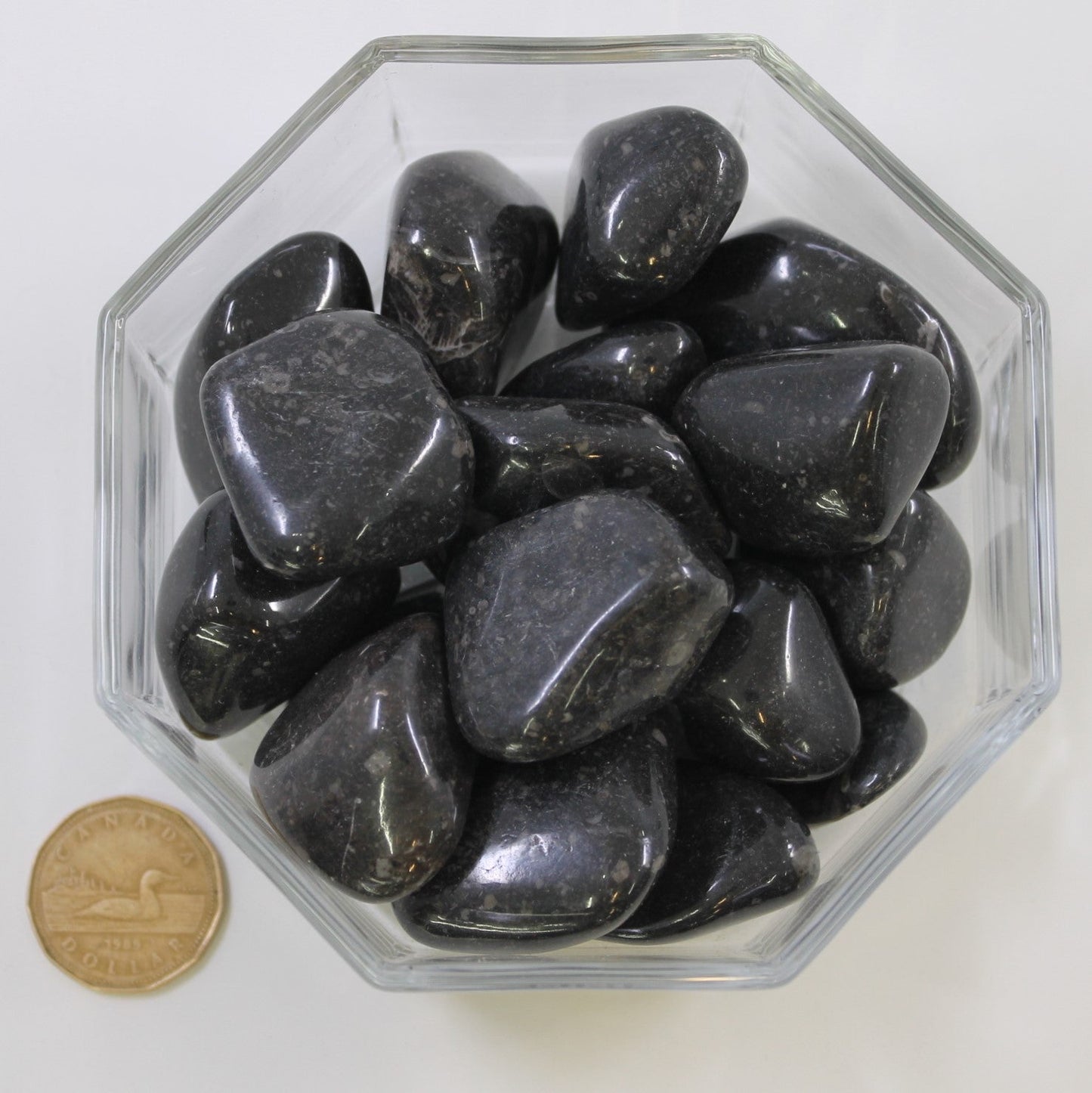 Vivianite Large - Tumbled