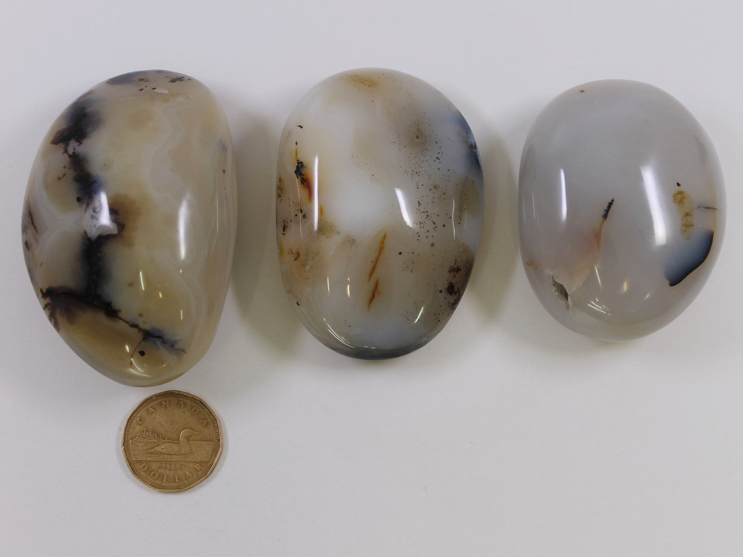 Agate Dendrite - Palmstone