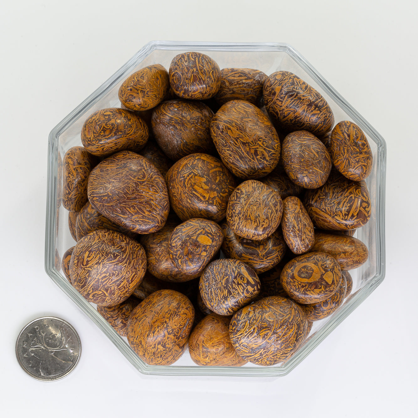 Jasper Coquina Script Large - Tumbled