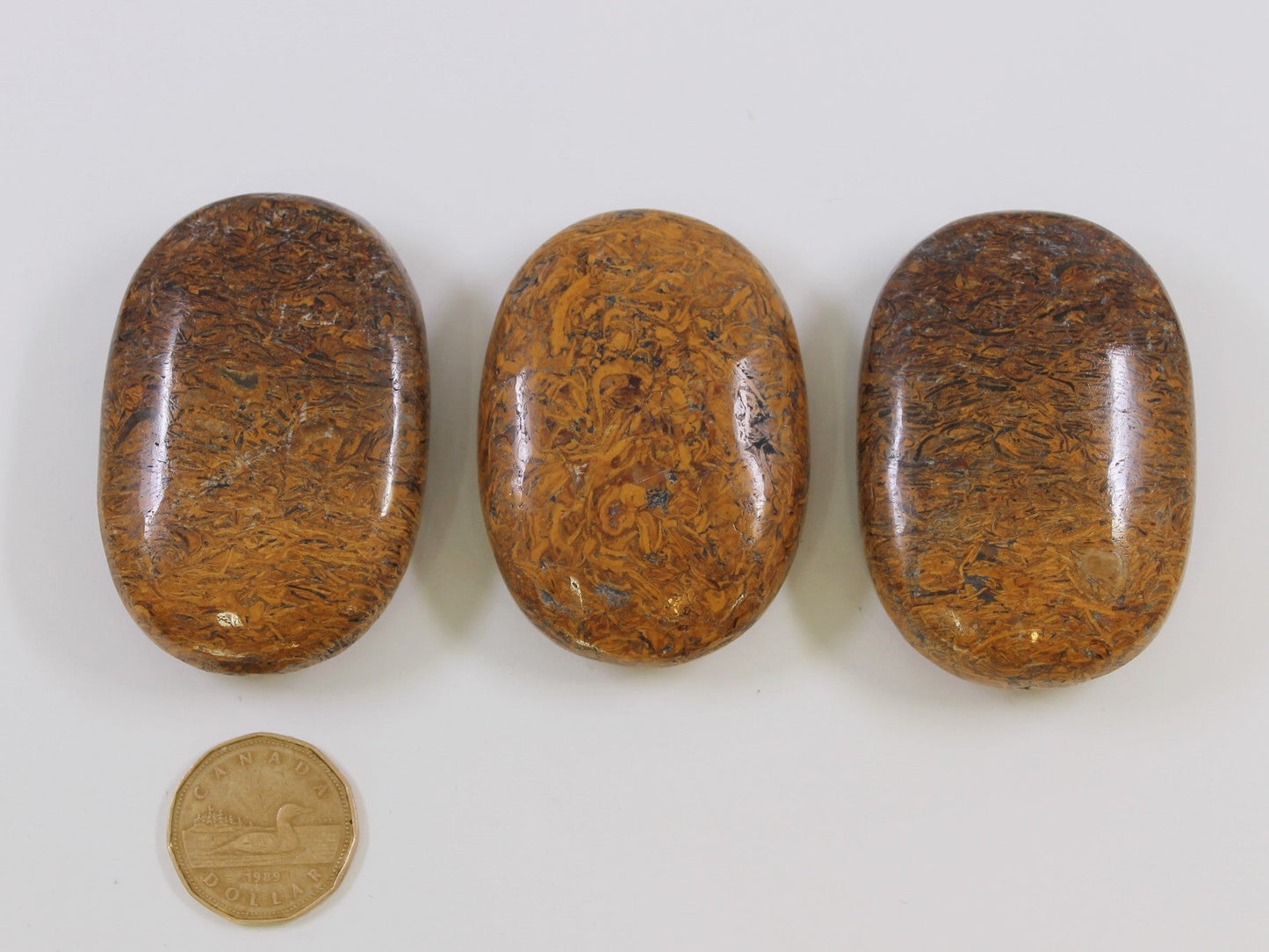 Jasper Script - Palmstone