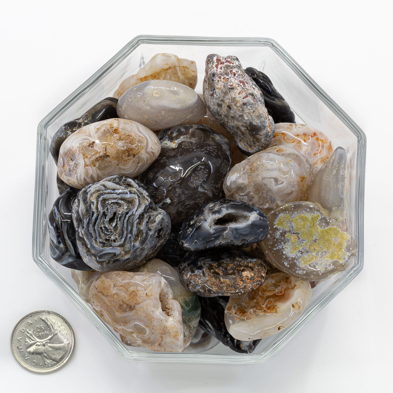 Agate Geodites Large - Tumbled