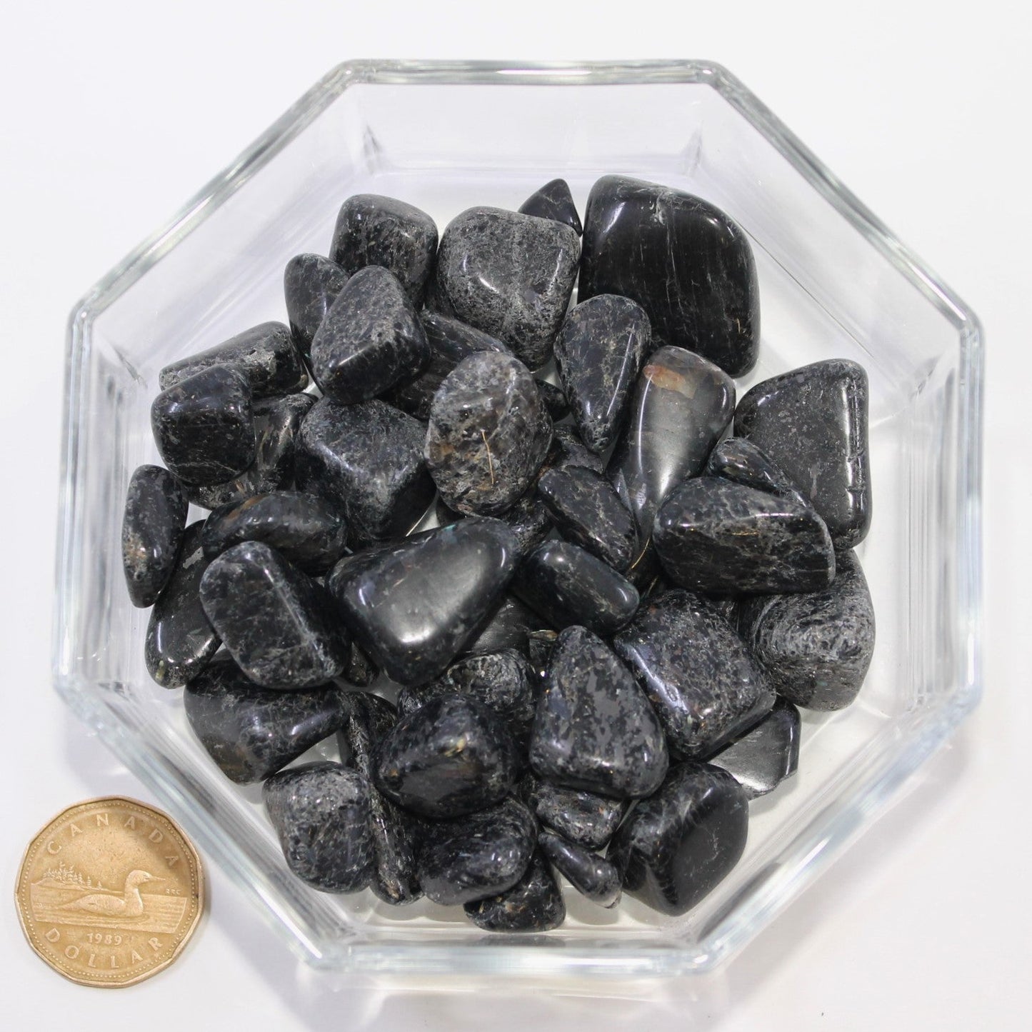 Nuummite Coppernite Large - Tumbled