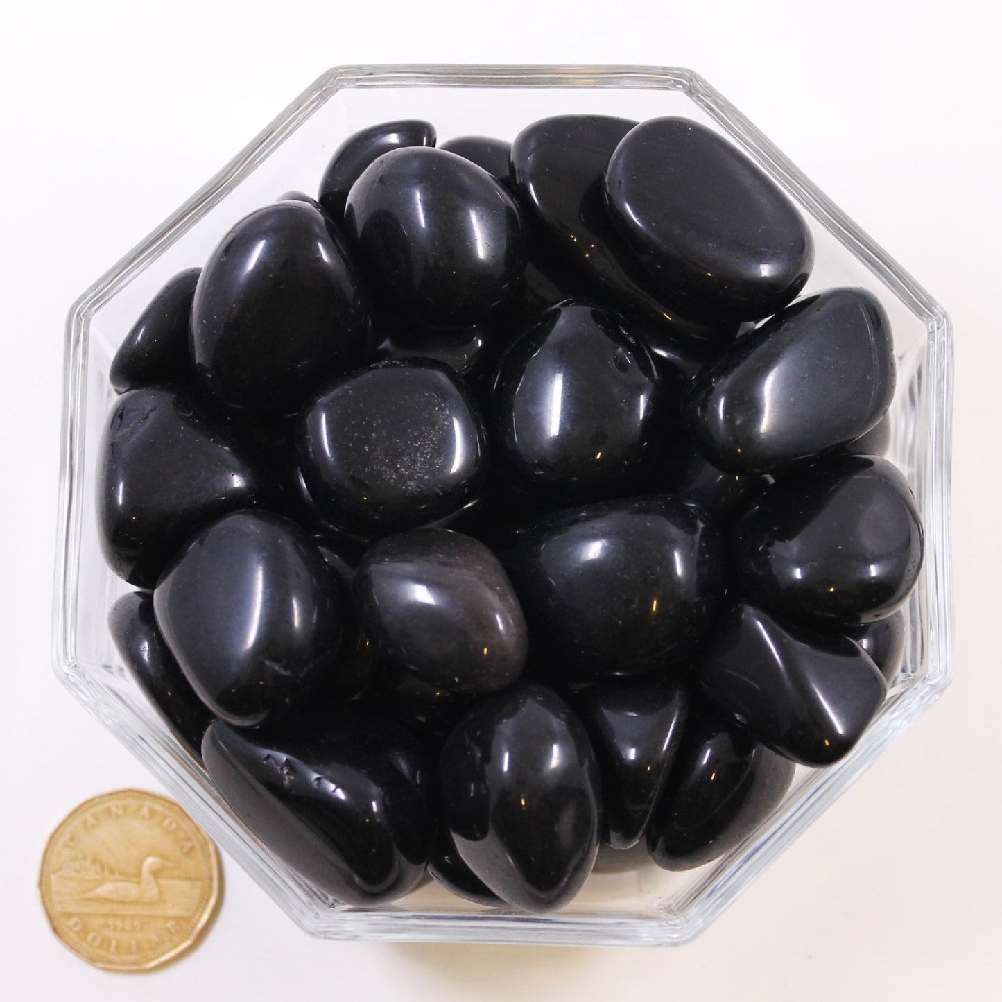 Obsidian Black Large - Tumble