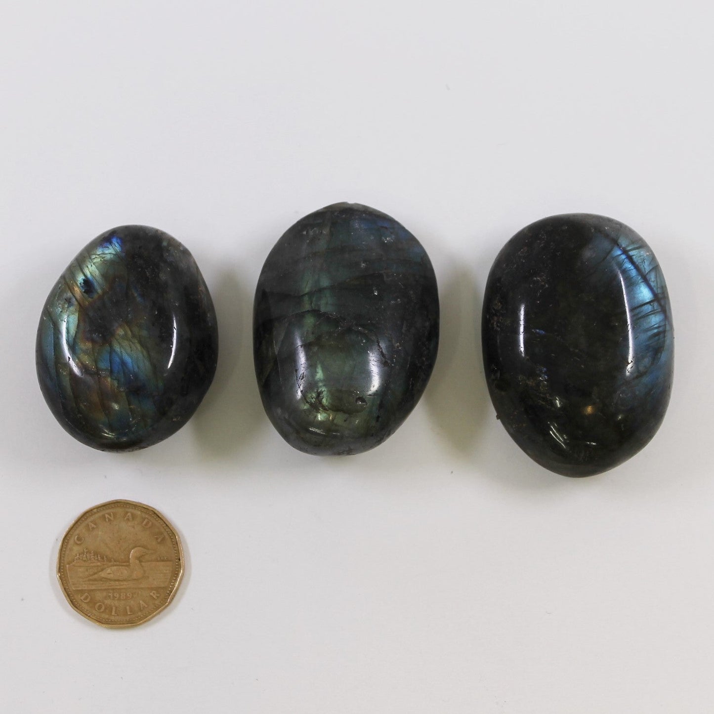 Labradorite - Palmstone