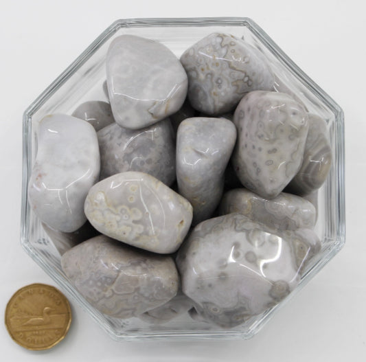Agate Crazy Lace White Jumbo - Tumbled