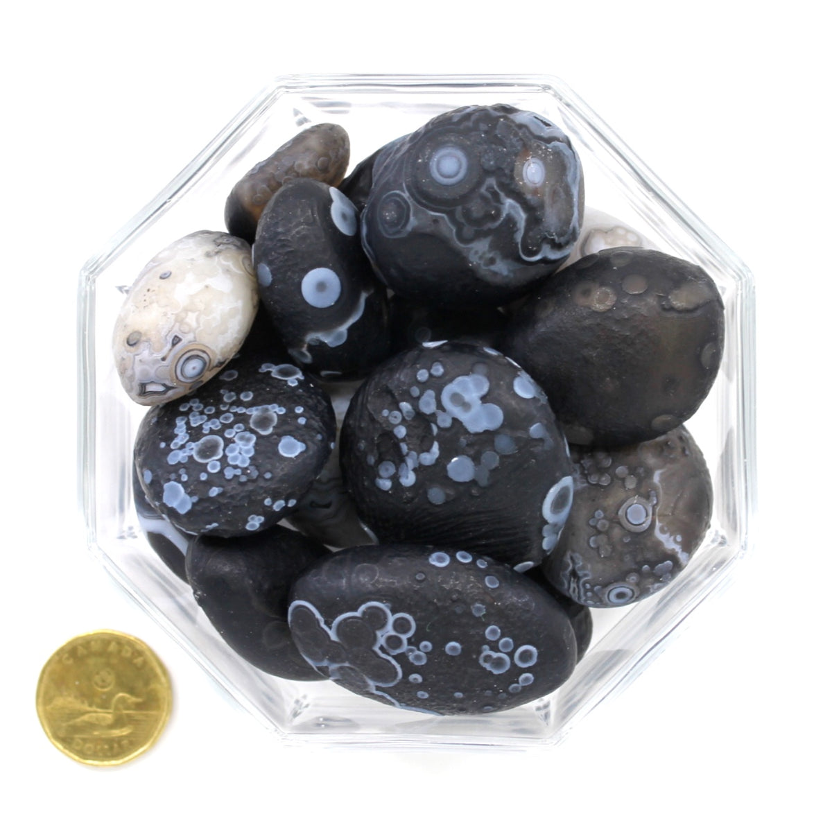 Agate Gobi Mongolia Black Large - Tumbled
