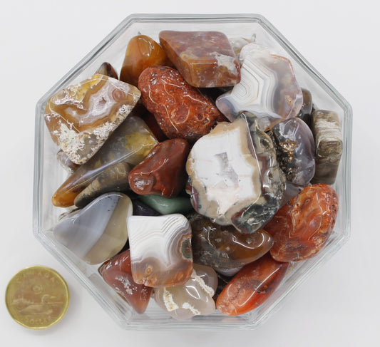 Agate Mixed Large Extra - Tumbled