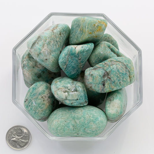 Amazonite Jumbo - Tumbled